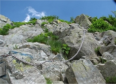 Image1.jpg