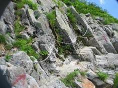 IMG_2252.JPG