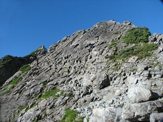 Img_2204.jpg